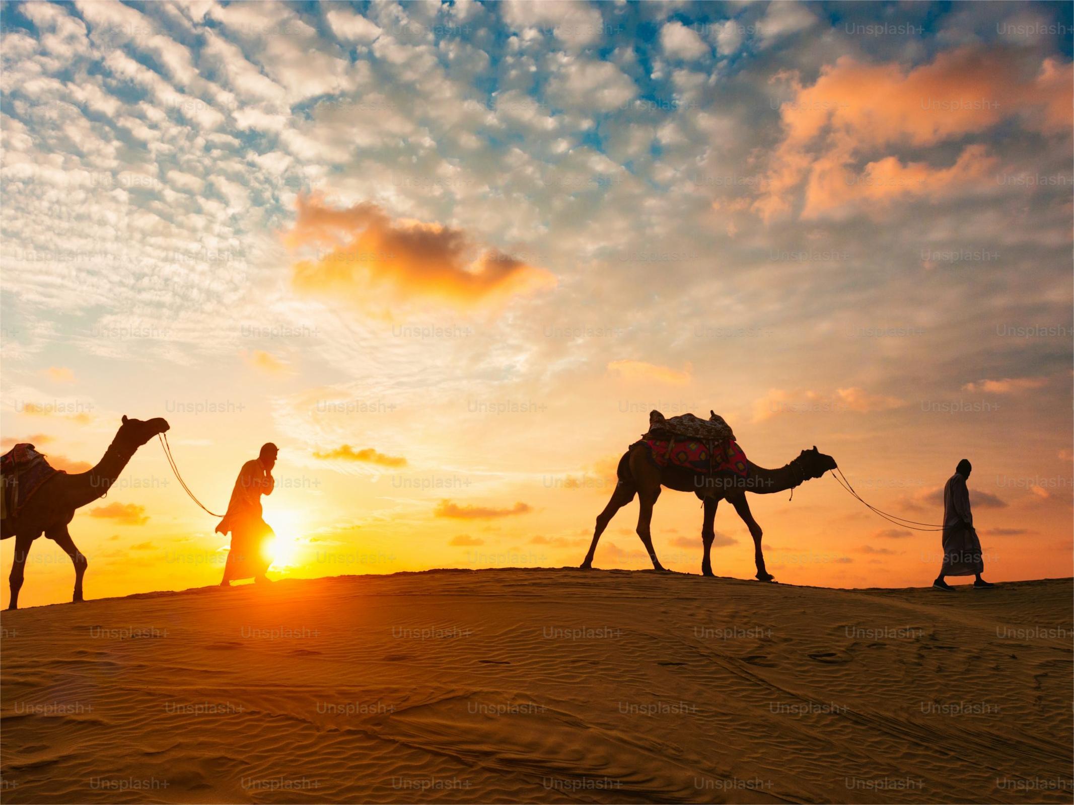 Exotic Desert Safari